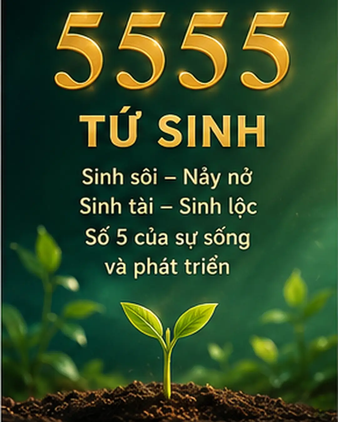Ý nghĩa số 5555 – Tứ quý 5, cân bằng và cực kỳ dễ nhận diện